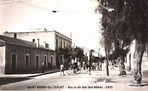 2182- Sainte-Barbe-du-Tlelat - Route de Sidi-Bel-Abbes - 1955